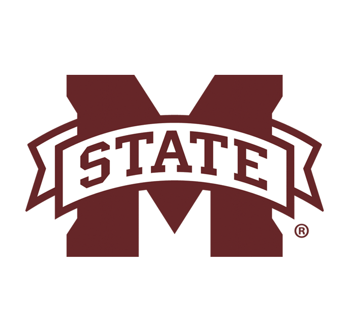 Mississippi State Bags, Backpacks and Aprons